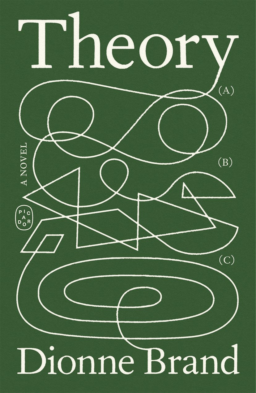 Theory // A Novel (Pre-order, April 27 2027)