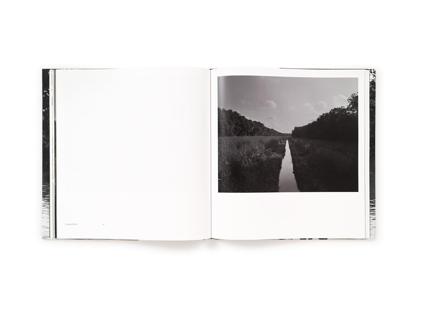 Dawoud Bey // Elegy