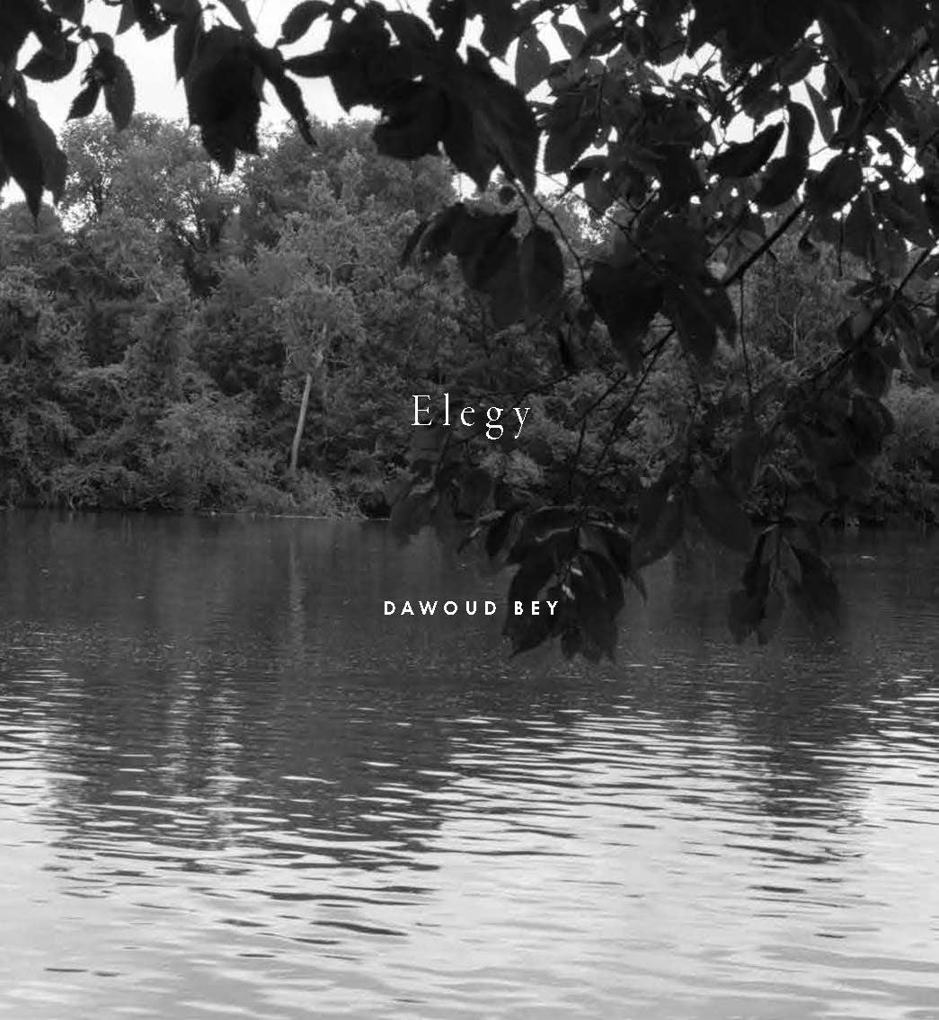 Dawoud Bey // Elegy