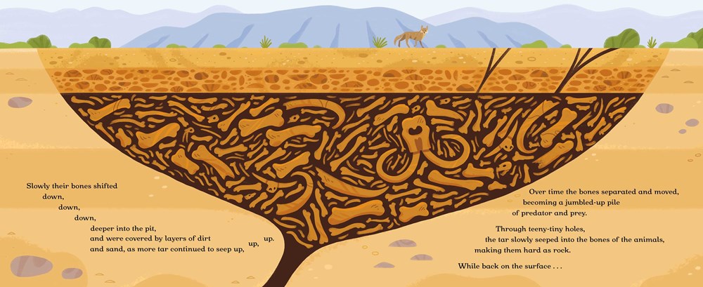 Trapped in the Tar Pit // How Paleontologists Unearthed a City's Prehistoric Past
