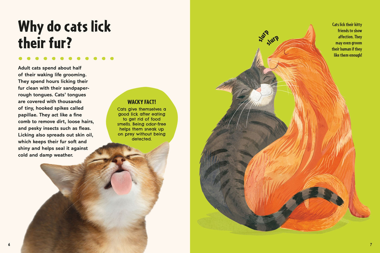 Britannica's First Big Book of Why // Why Can't Penguins Fly? Why Do We Brush Our Teeth? Why Does Popcorn Pop? the Ultimate Book of Answers for Kids Who Need to Know Why!