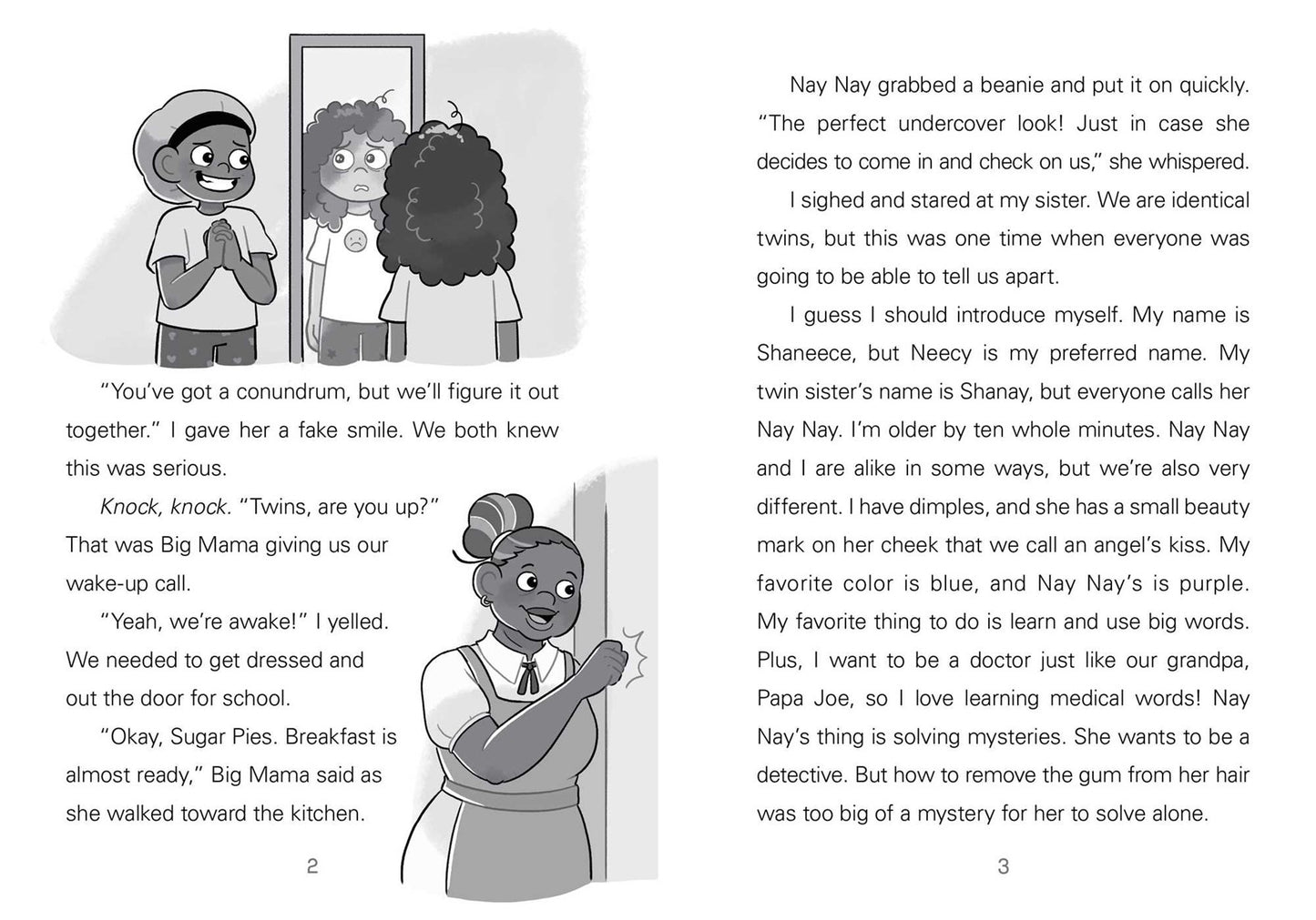 Neecy and Nay Nay and the Tangled, Hairy Mess (Neecy and Nay Nay #1) // (A Little Bee Books Chapter Book Series)