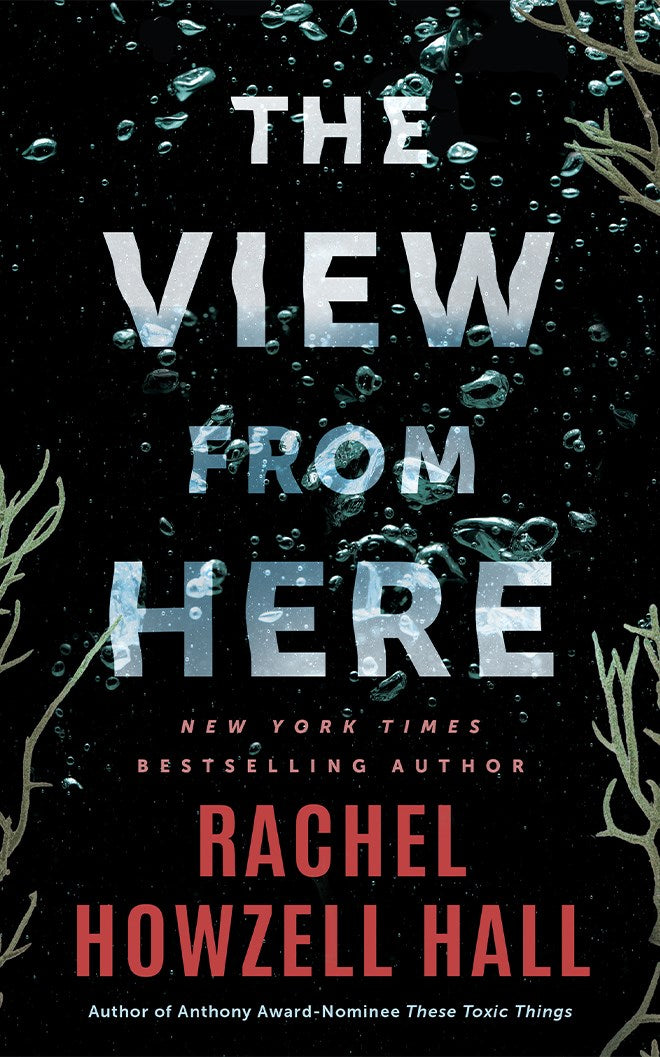The View from Here // A Thriller