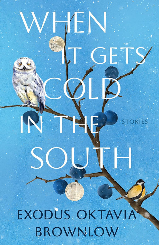 When It Gets Cold in the South // Stories (Pre-Order, Jan 26 2027)