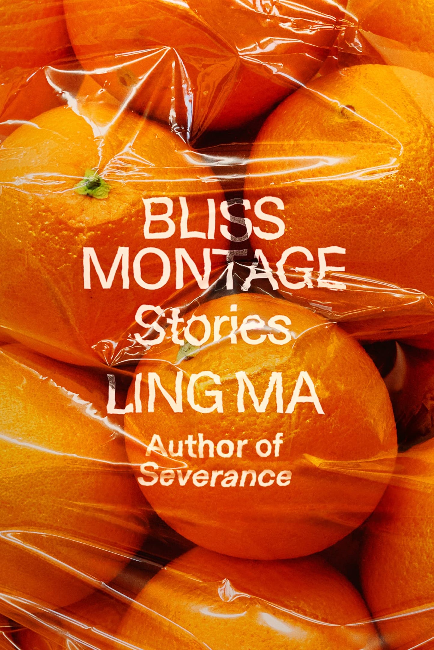 Bliss Montage // Stories